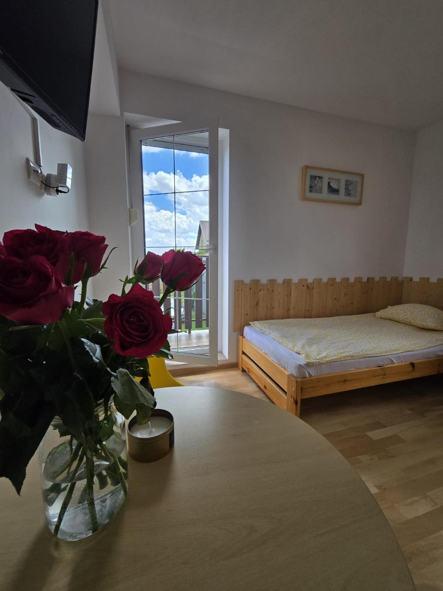 Villa Mango Wladyslawowo Chlapowo Esterno foto